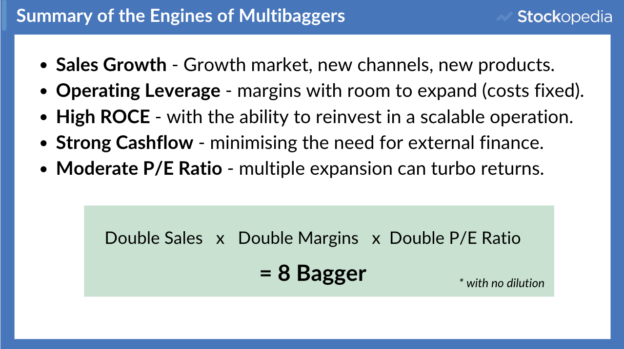 Summary of the Engines of Multibaggers